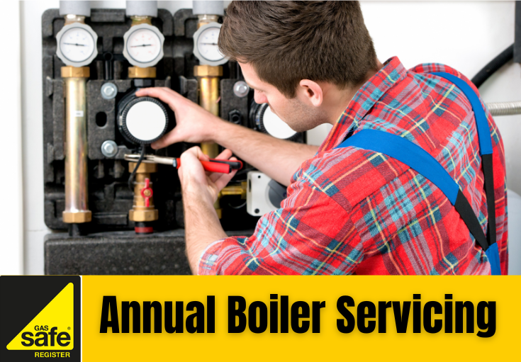 annual boiler servicing Orpington