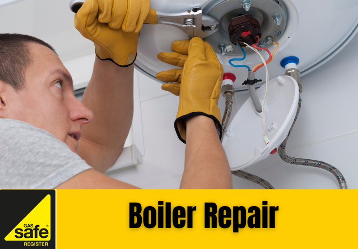 boiler repair Orpington